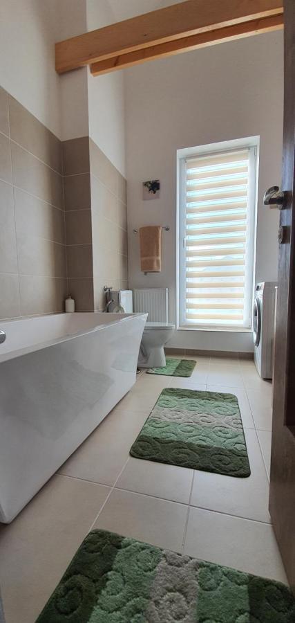Târgu-Mureş Hoobee Home & Rooftop Terrace מראה חיצוני תמונה