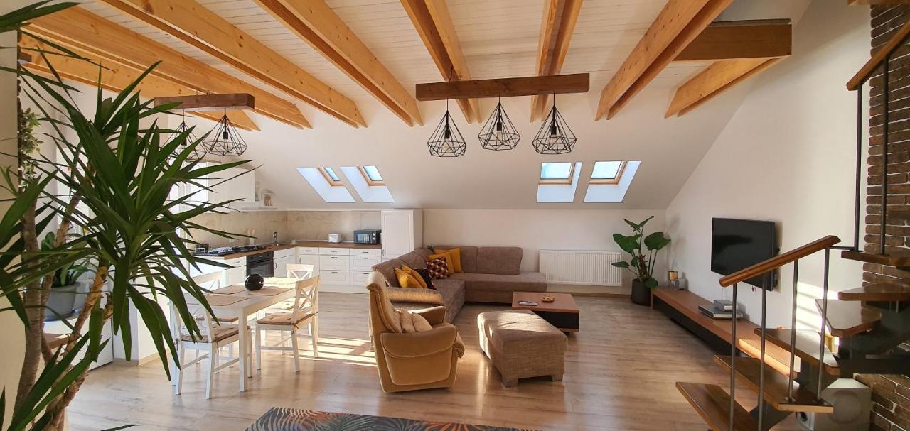 Târgu-Mureş Hoobee Home & Rooftop Terrace מראה חיצוני תמונה