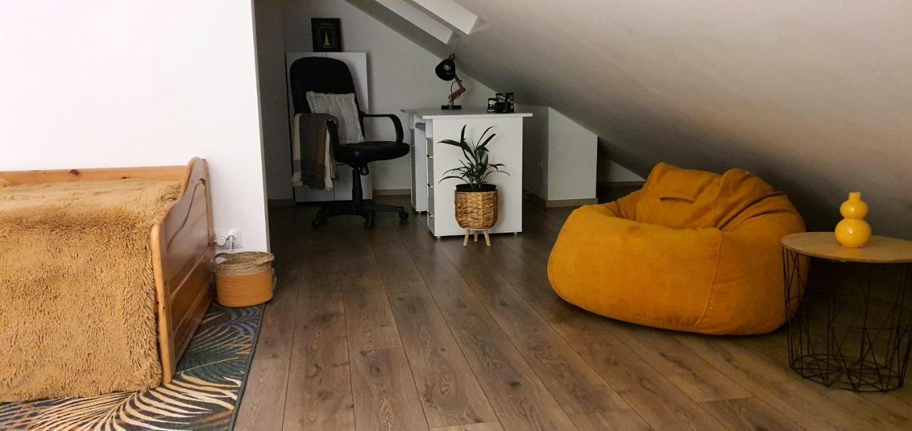 Târgu-Mureş Hoobee Home & Rooftop Terrace מראה חיצוני תמונה
