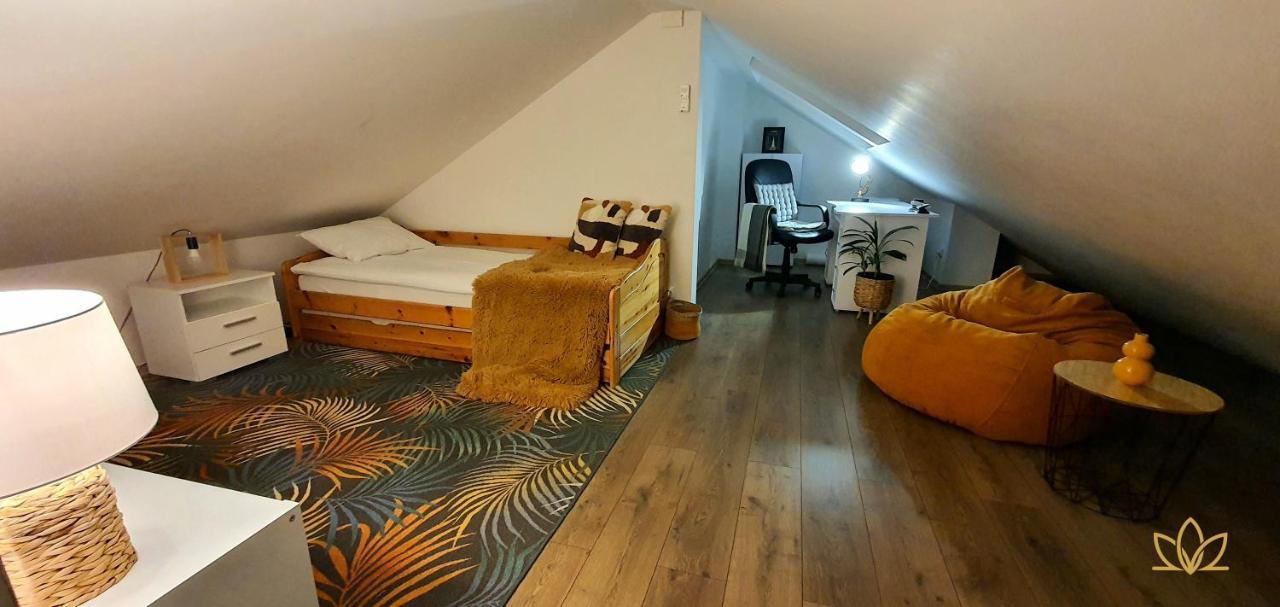 Târgu-Mureş Hoobee Home & Rooftop Terrace מראה חיצוני תמונה