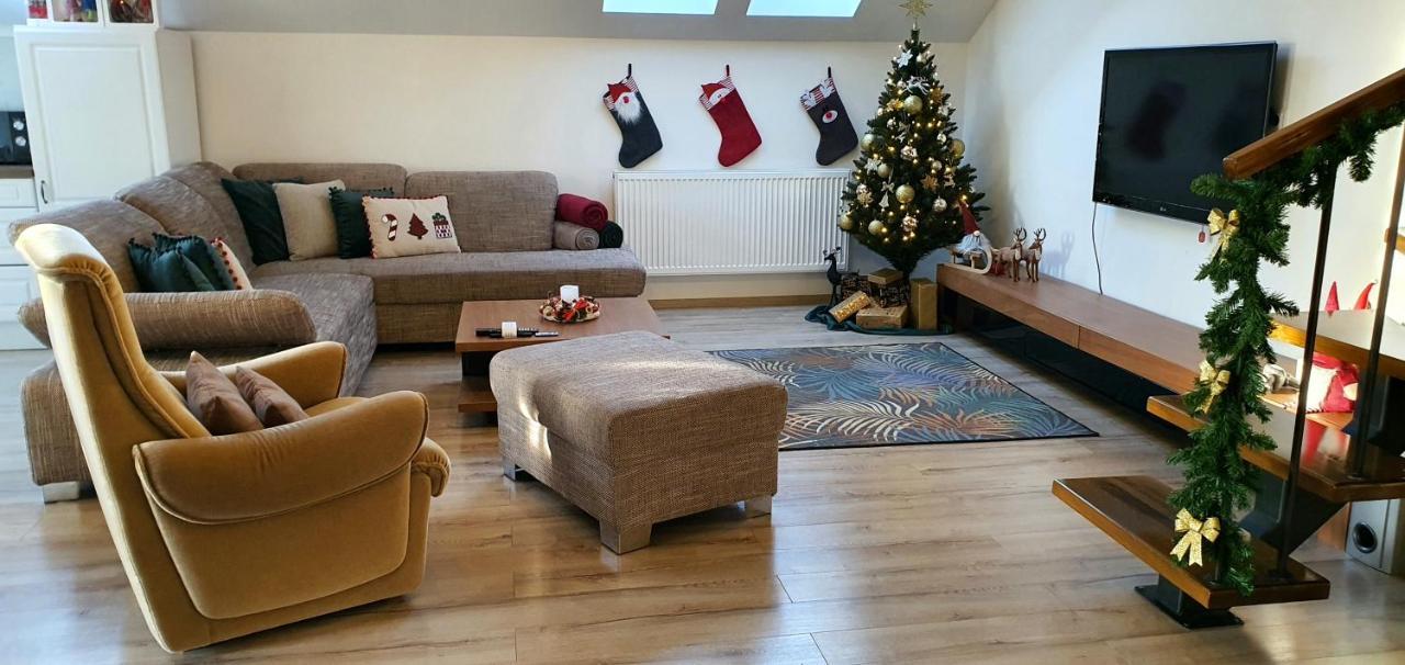 Târgu-Mureş Hoobee Home & Rooftop Terrace מראה חיצוני תמונה